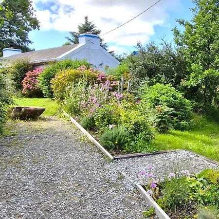 The Rockhouse - Cosy Stone Built Thatch Cottage Dungloe Esterno foto